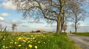 campagne