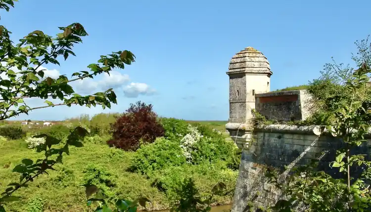 Lire la suite à propos de l’article Découvrez Hiers Brouage